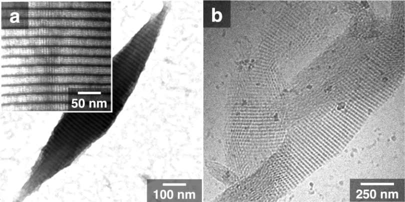生体内分子機械シャペロニンGroELによるナノ構造